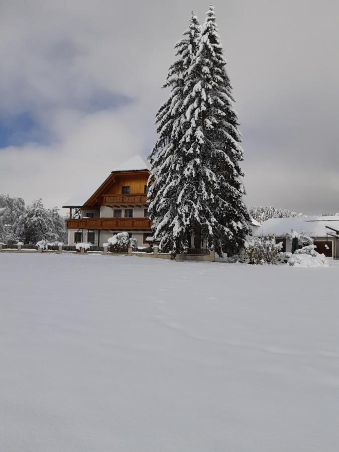 Bio Bauernhof Schoberhof Villa Sankt Andra im Lungau Exterior photo